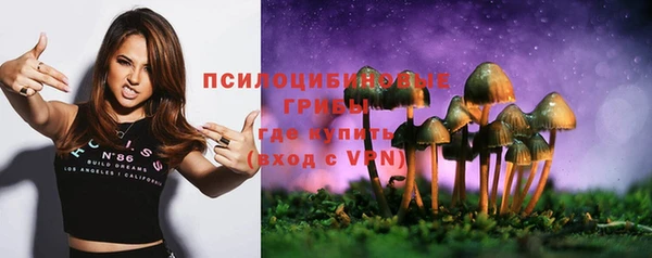 прущий лед Армянск