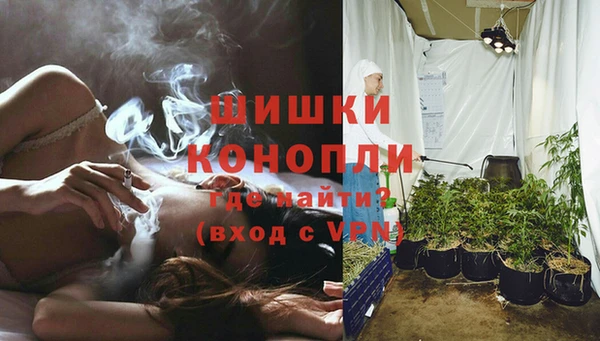 спайс Аркадак