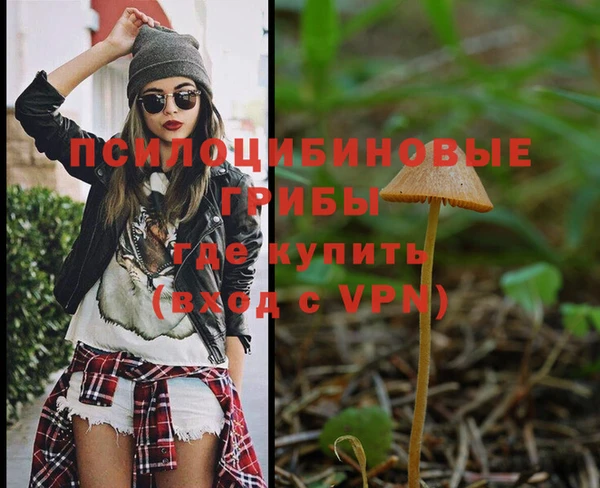 спайс Аркадак